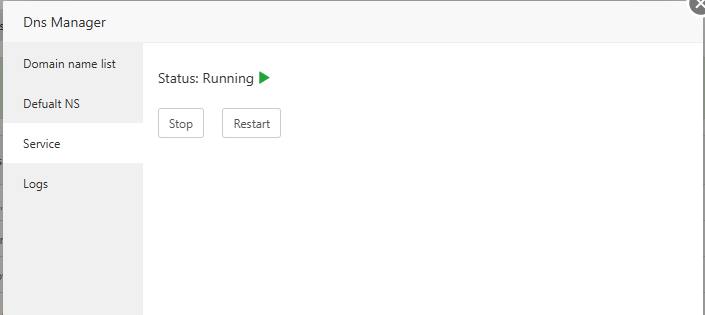 Запущенный Dns Manager в aaPanel на Debian 12